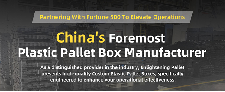 Folding Plastic Pallet Container Box